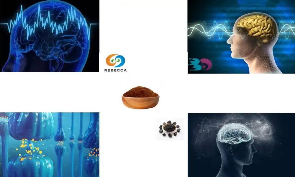 Shilajit Extract for Brain and Memory Support